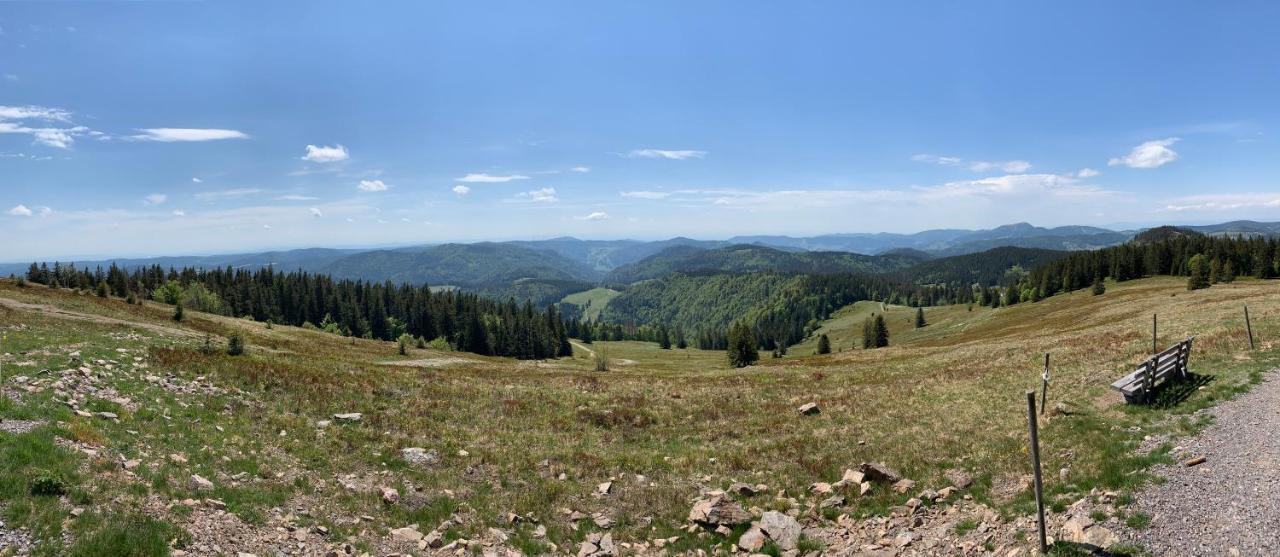 Feldberg Lounge - Residenz Grafenmatt Appartamento